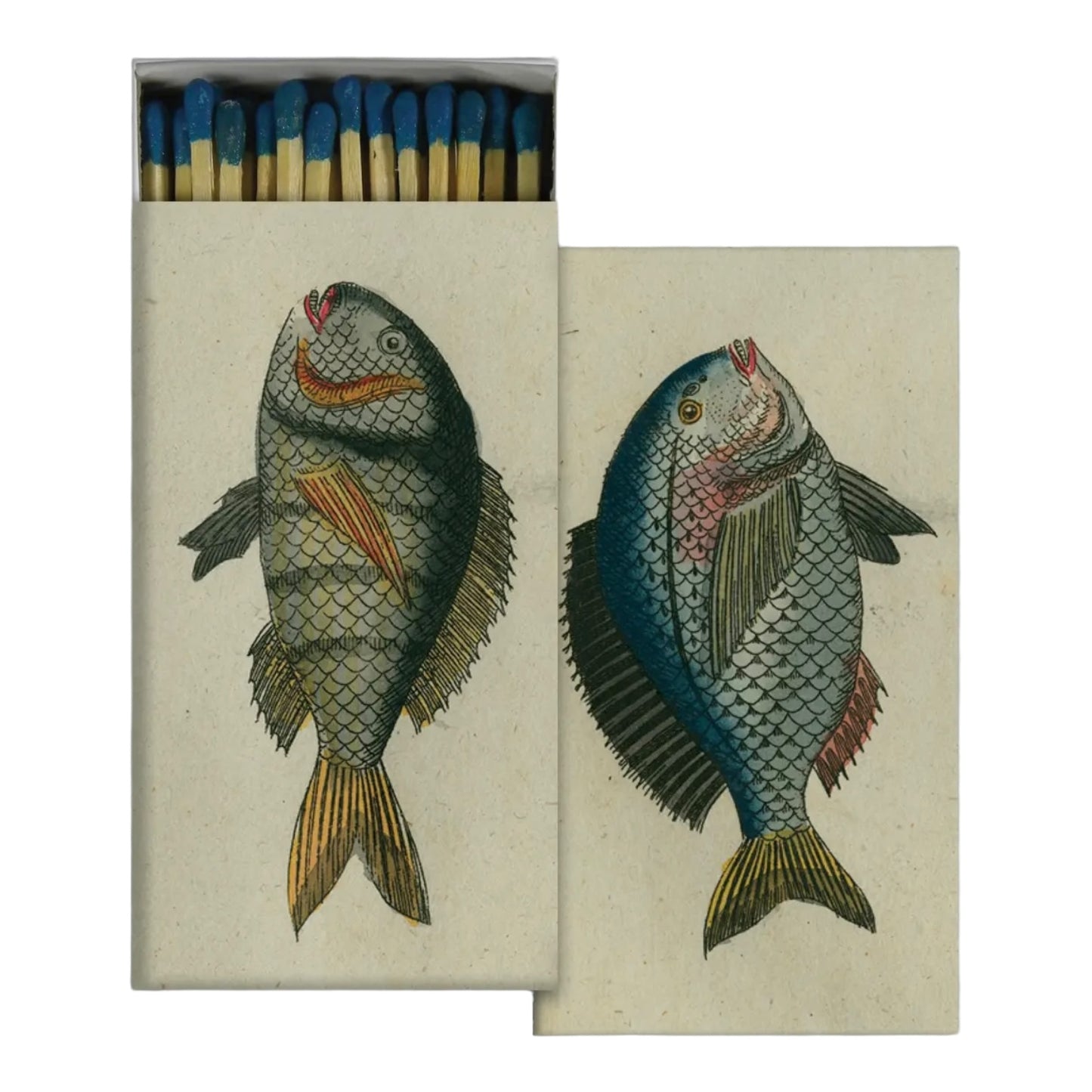 Fish Matchbox