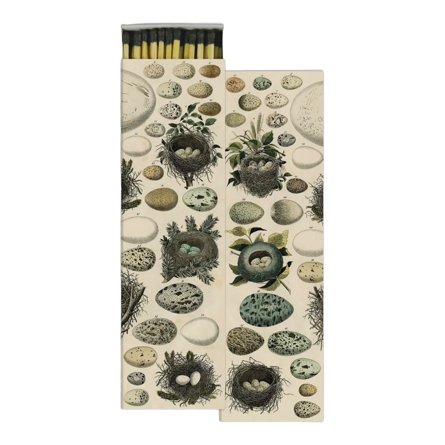 Egg and Nest Matchbox-long