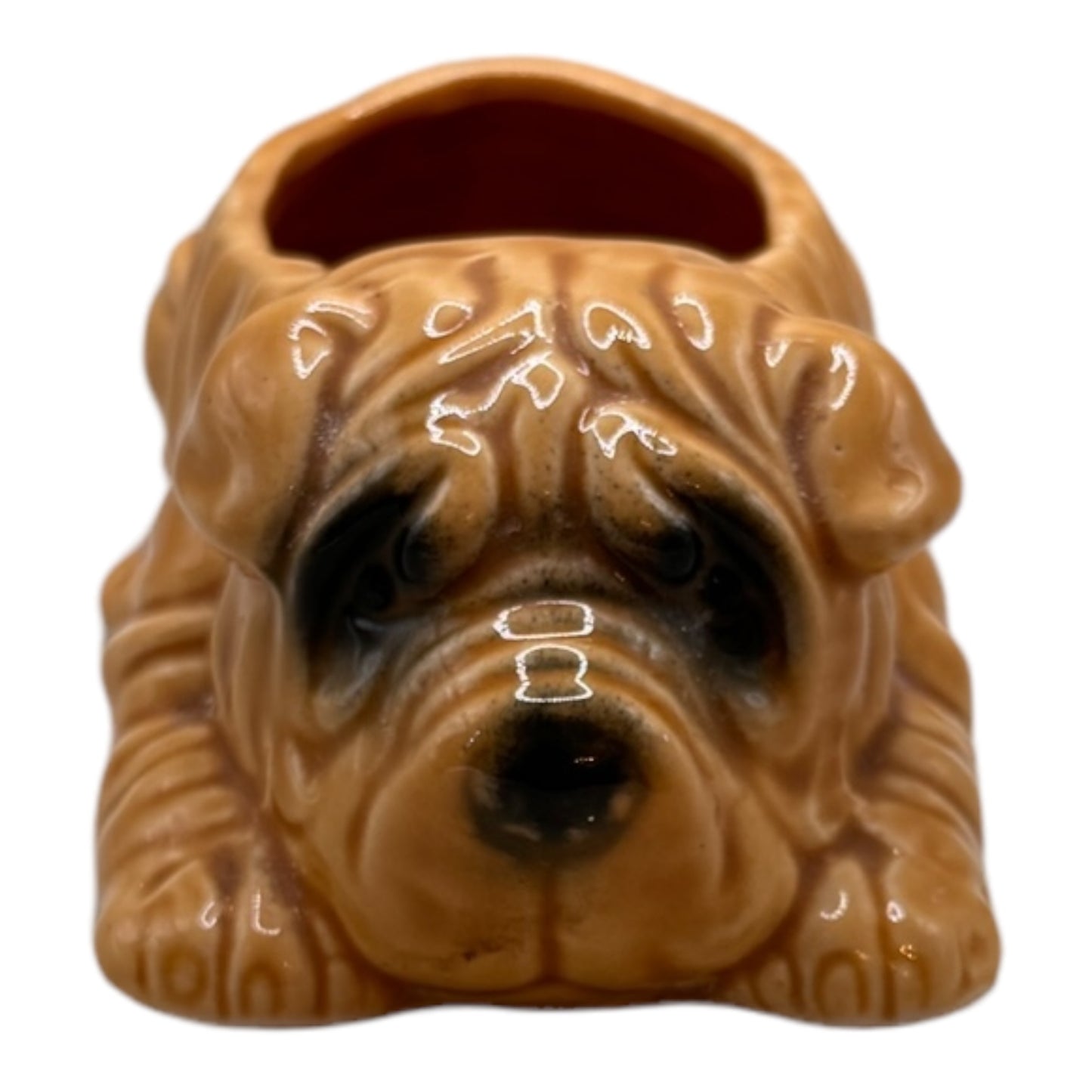 Brutus